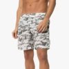 Off-White Men’ s Arrow Pattern Swim Shorts Gray