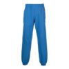 Off-White Men’ s SS22 Stripe Logo Printing Casual Sports Pants/Trousers/Joggers Version Blue