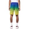 SS22 Gradient Printing Shorts Multicolor